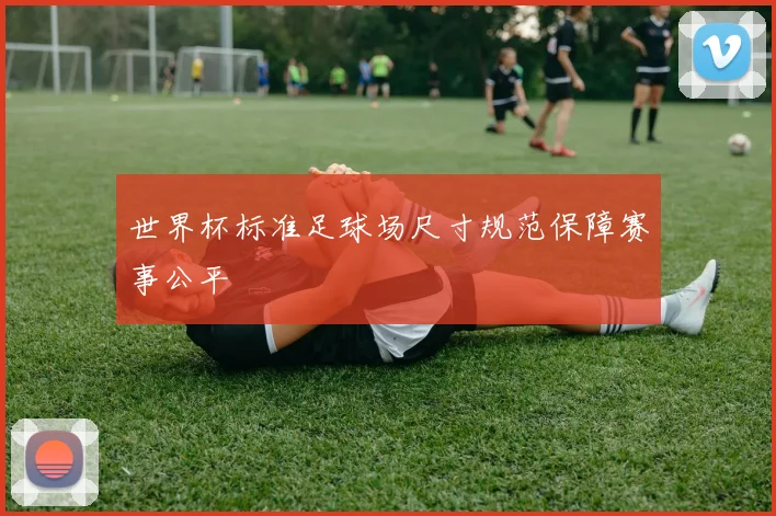 世界杯标准足球场尺寸规范保障赛事公平