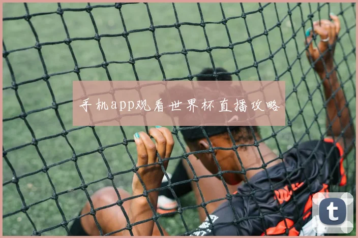 手机app观看世界杯直播攻略