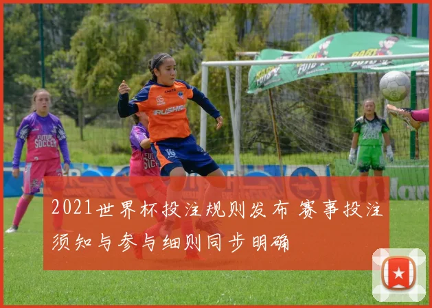 2021世界杯投注规则发布 赛事投注须知与参与细则同步明确